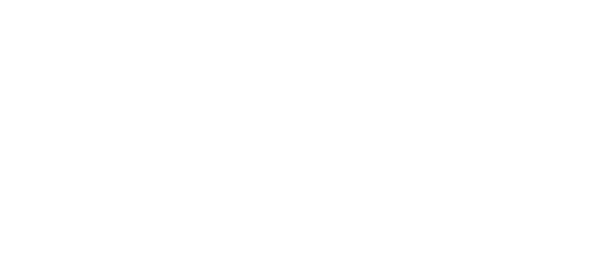 VissRad — wisdom in decision making
